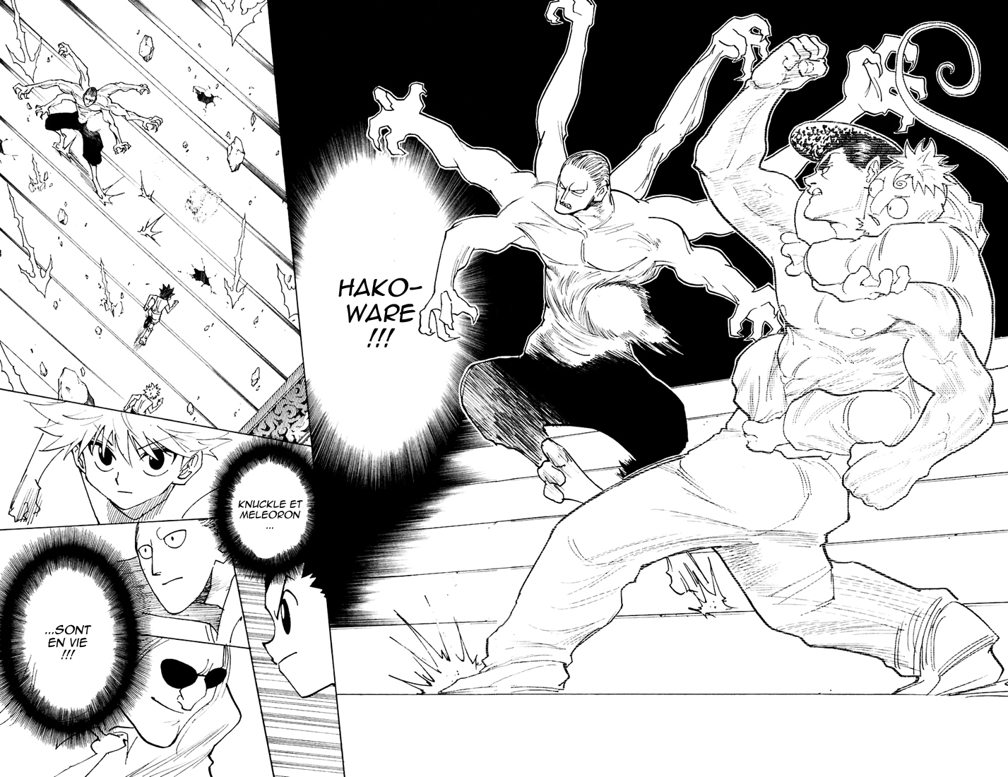 Hunter X Hunter: Chapter chapitre-266 - Page 16