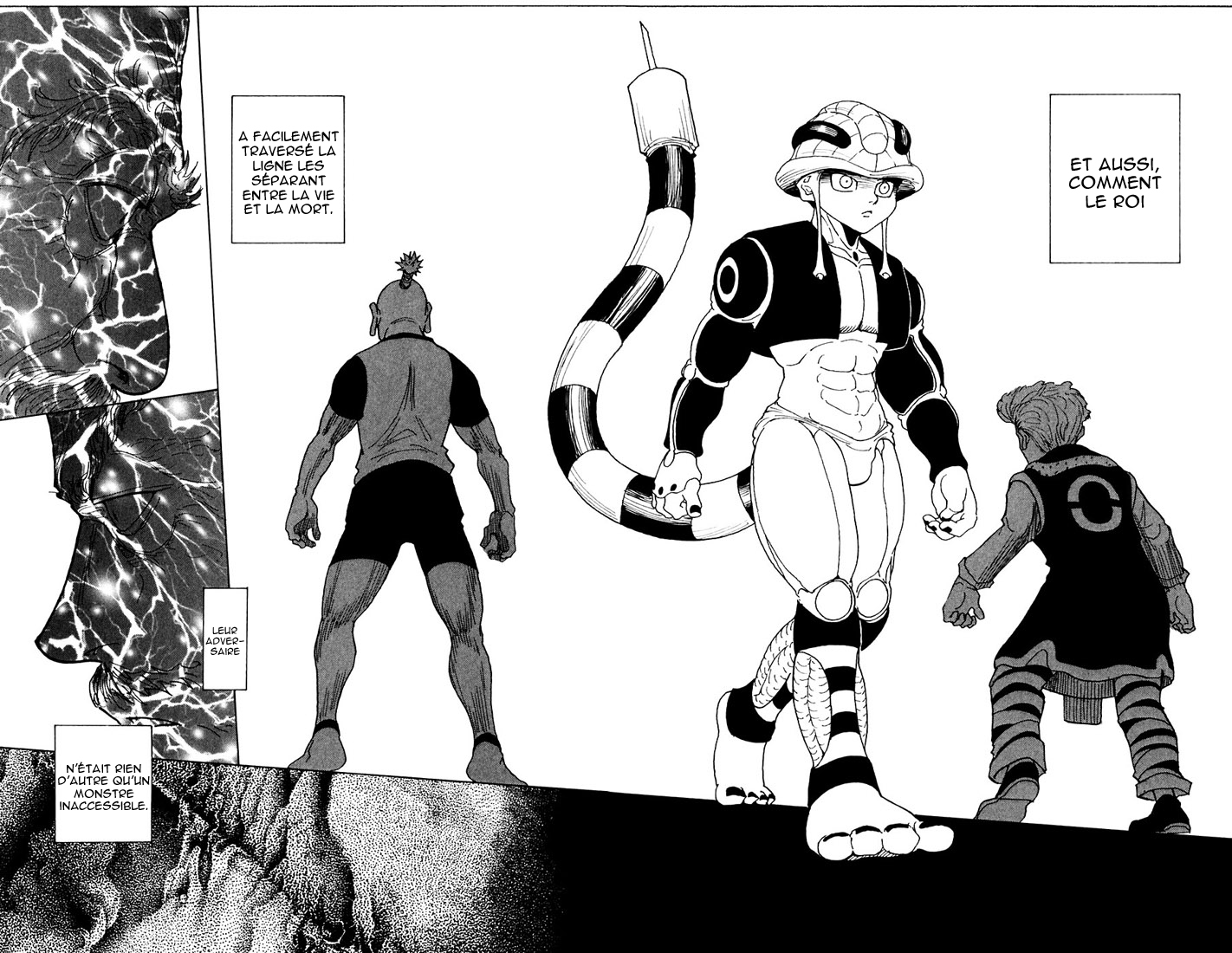 Hunter X Hunter: Chapter chapitre-268 - Page 11