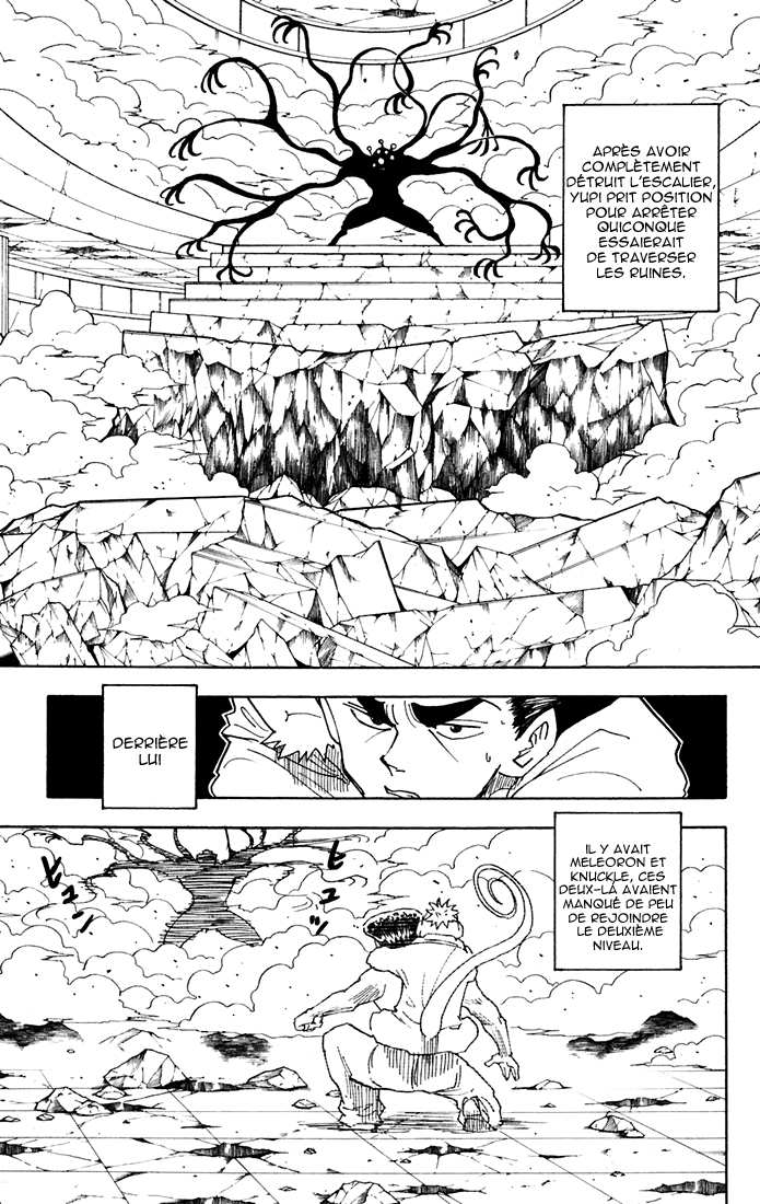 Hunter X Hunter: Chapter chapitre-268 - Page 13