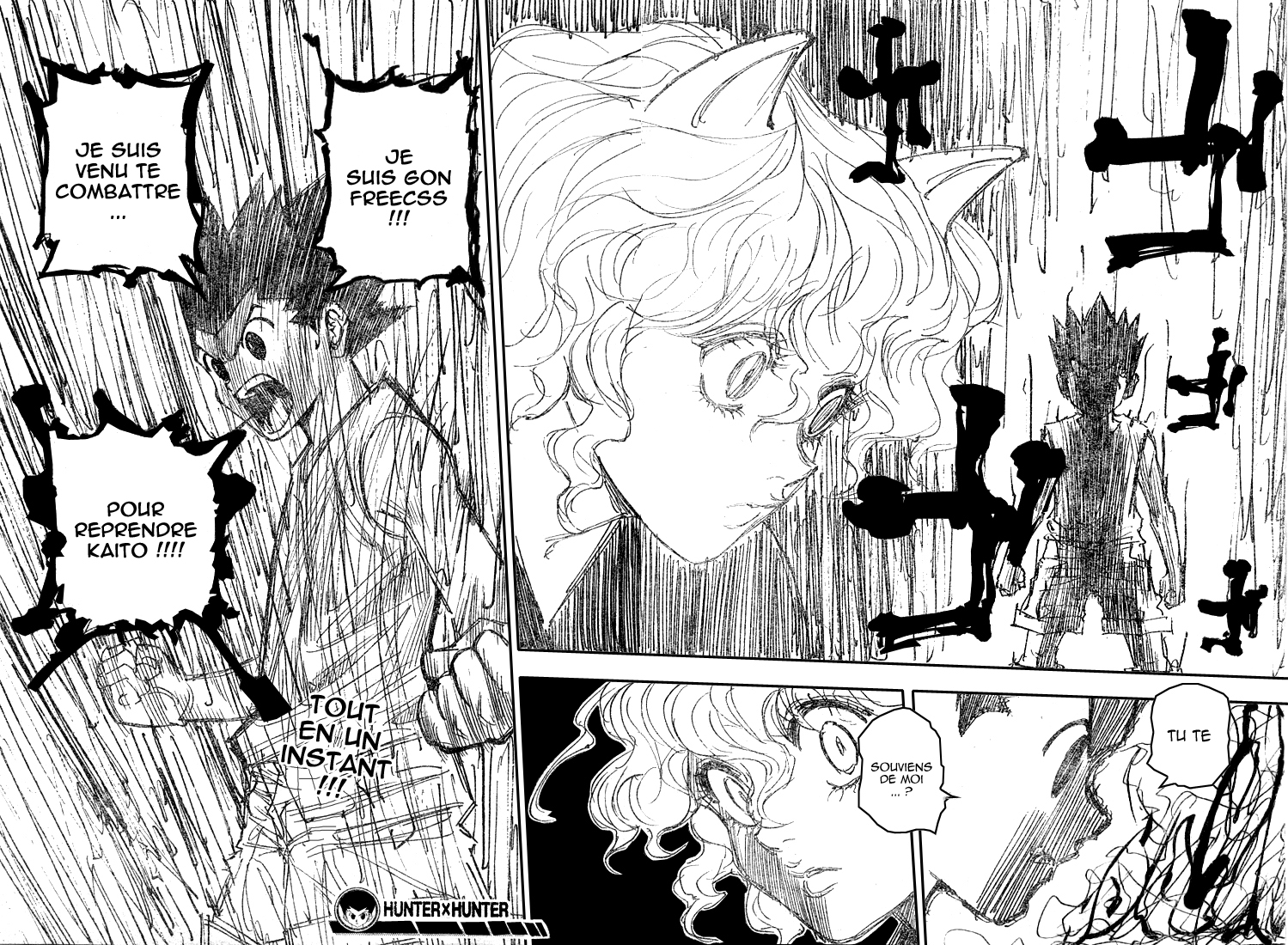 Hunter X Hunter: Chapter chapitre-273 - Page 19