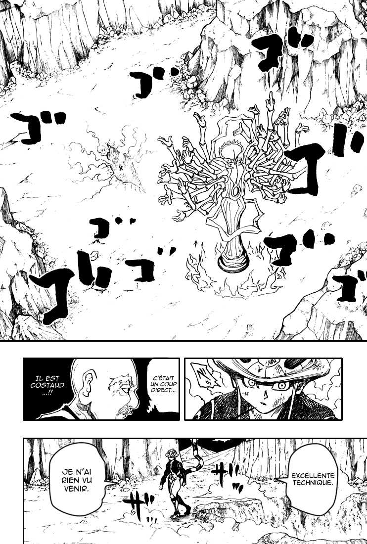 Hunter X Hunter: Chapter chapitre-290 - Page 11