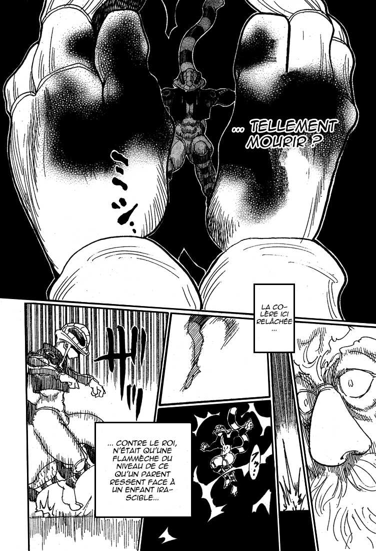 Hunter X Hunter: Chapter chapitre-290 - Page 14
