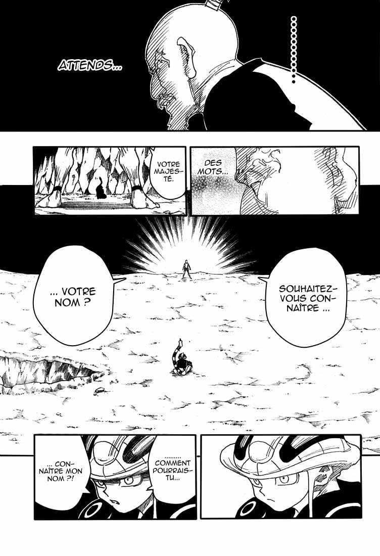 Hunter X Hunter: Chapter chapitre-290 - Page 17