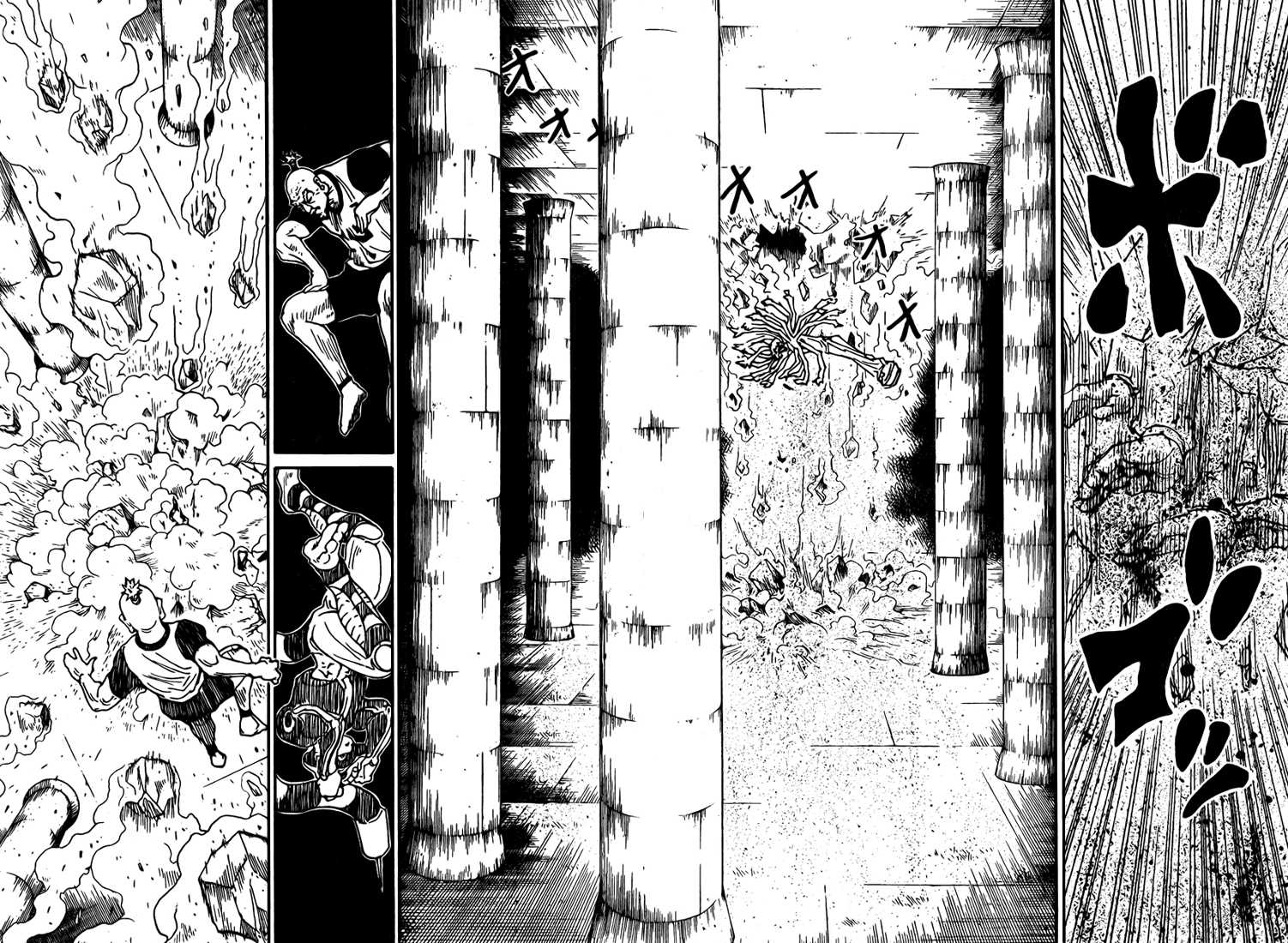 Hunter X Hunter: Chapter chapitre-291 - Page 13