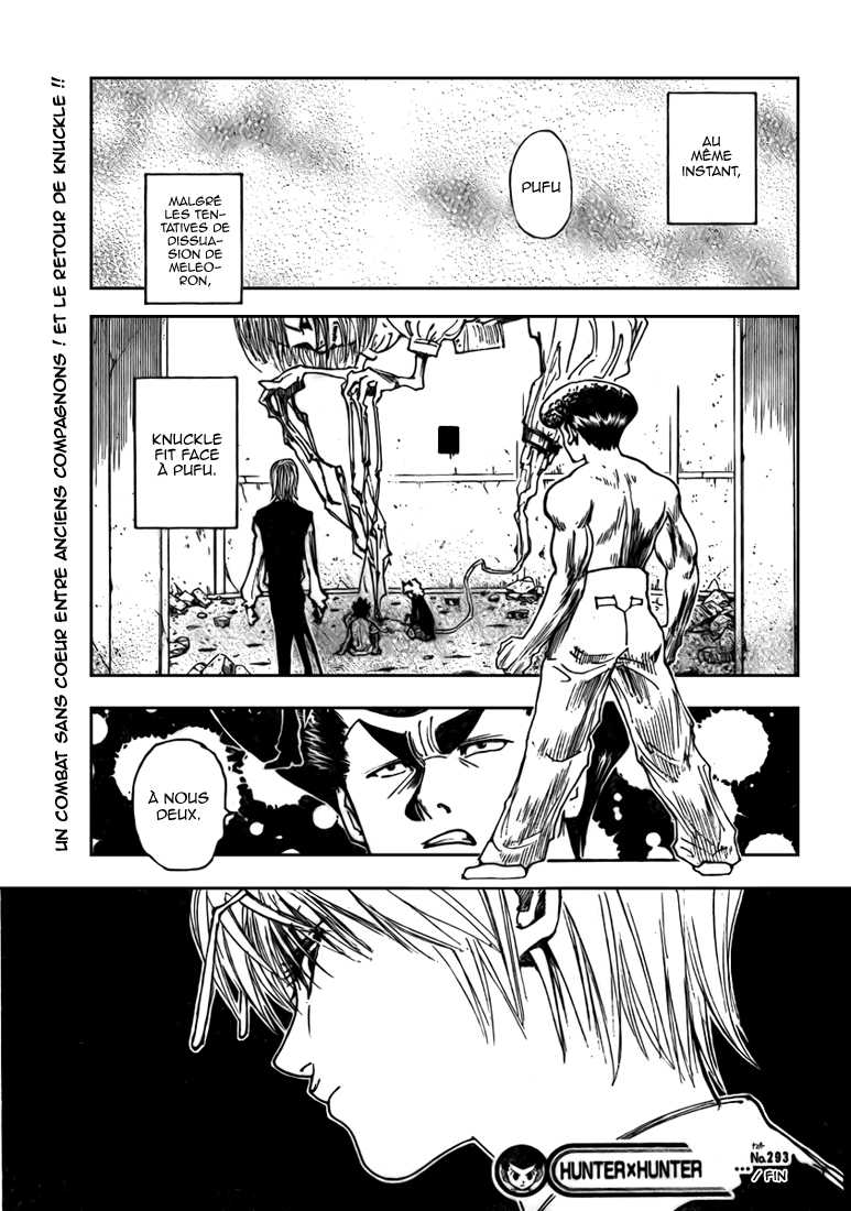 Hunter X Hunter: Chapter chapitre-293 - Page 20