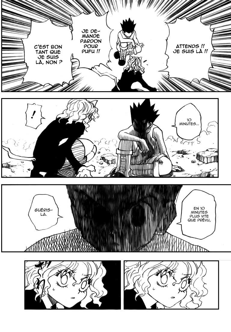 Hunter X Hunter: Chapter chapitre-295 - Page 11