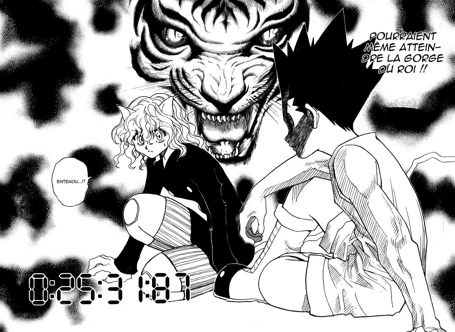 Hunter X Hunter: Chapter chapitre-295 - Page 14