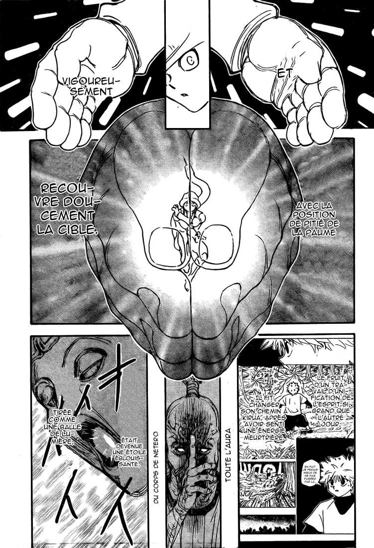 Hunter X Hunter: Chapter chapitre-297 - Page 13