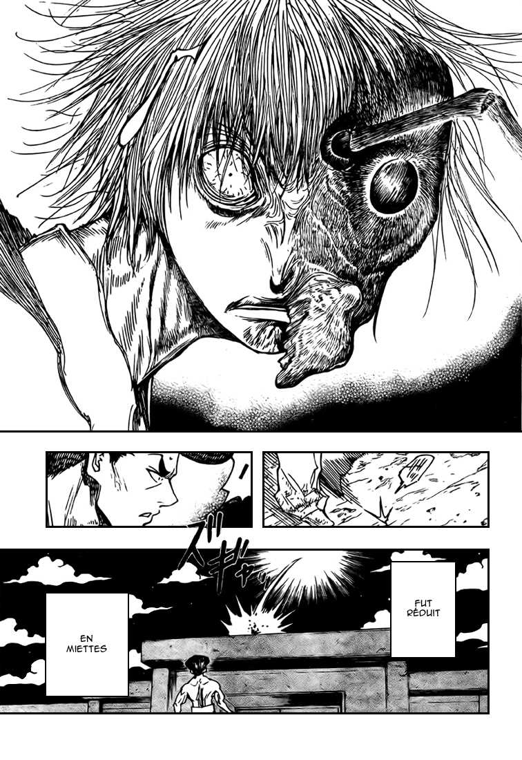 Hunter X Hunter: Chapter chapitre-298 - Page 13