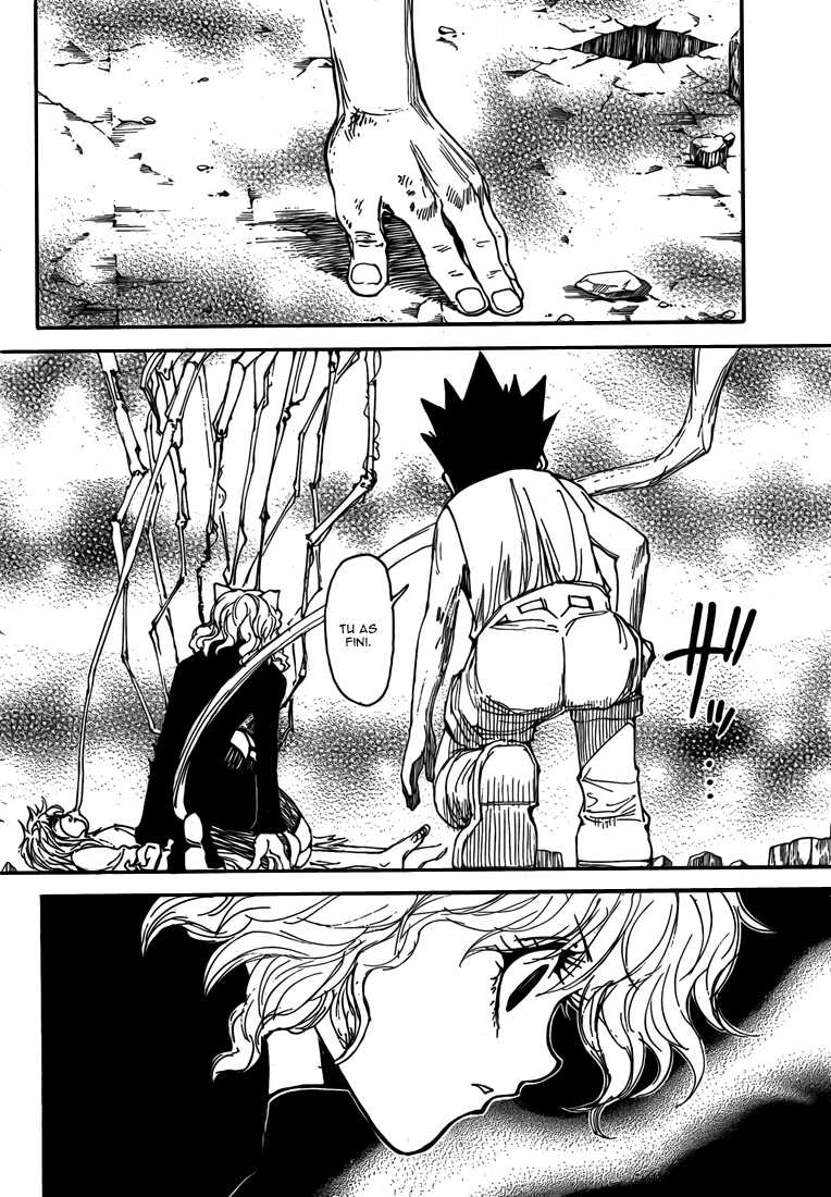 Hunter X Hunter: Chapter chapitre-300 - Page 9