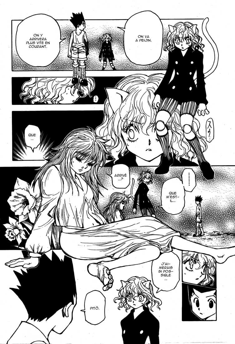 Hunter X Hunter: Chapter chapitre-300 - Page 12