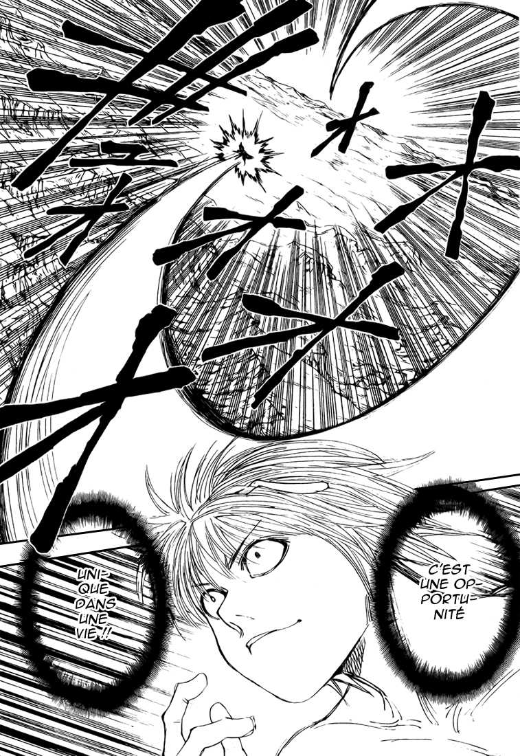 Hunter X Hunter: Chapter chapitre-301 - Page 10