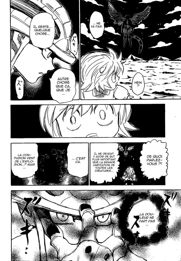 Hunter X Hunter: Chapter chapitre-303 - Page 16