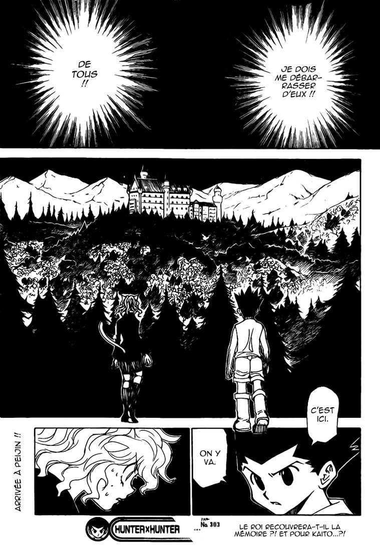 Hunter X Hunter: Chapter chapitre-303 - Page 19