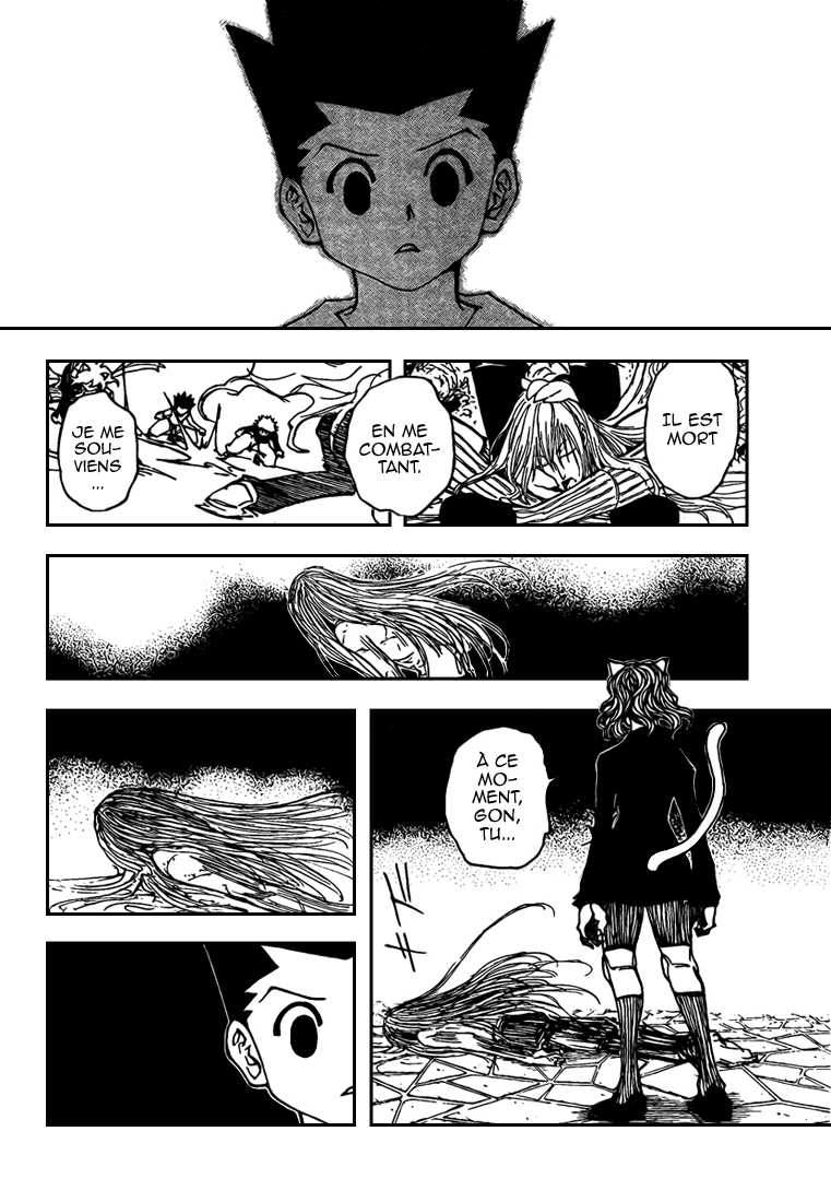 Hunter X Hunter: Chapter chapitre-304 - Page 15
