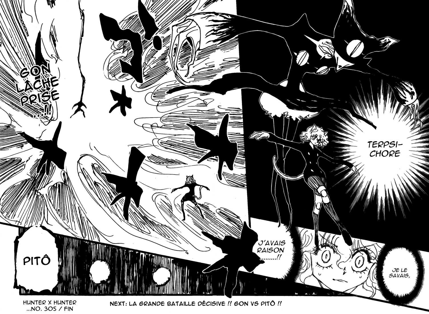 Hunter X Hunter: Chapter chapitre-305 - Page 16
