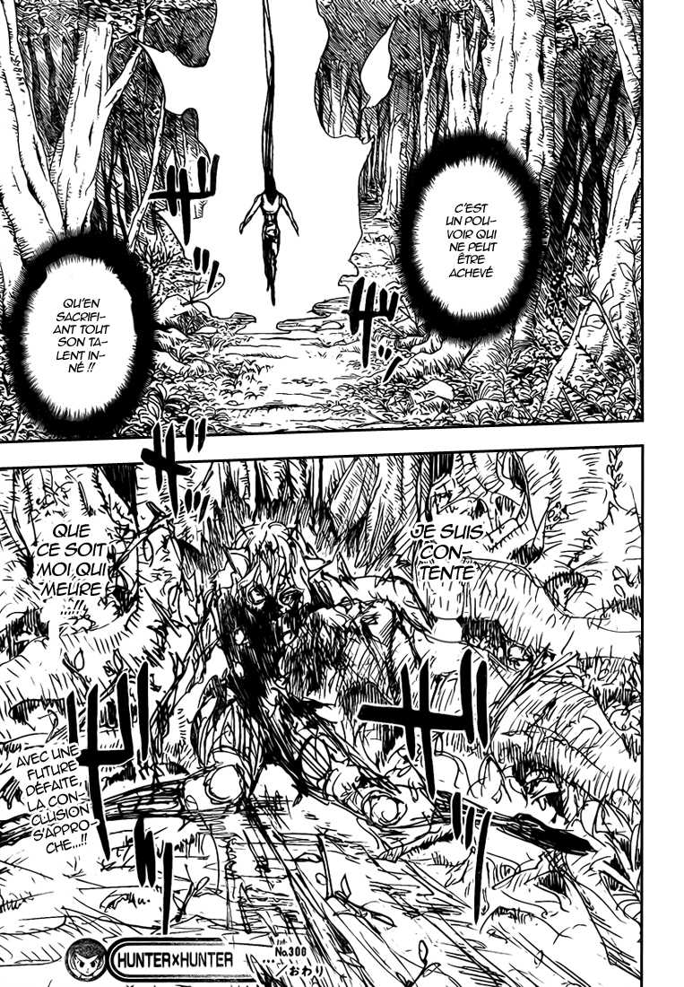 Hunter X Hunter: Chapter chapitre-306 - Page 16
