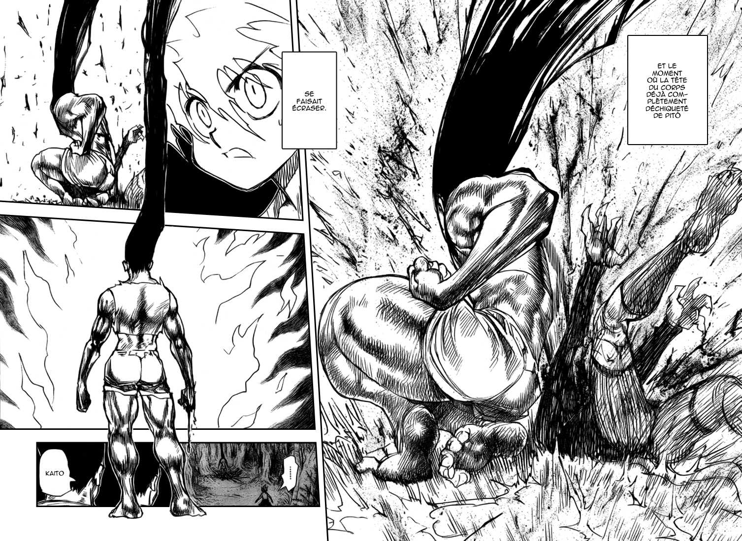 Hunter X Hunter: Chapter chapitre-307 - Page 4