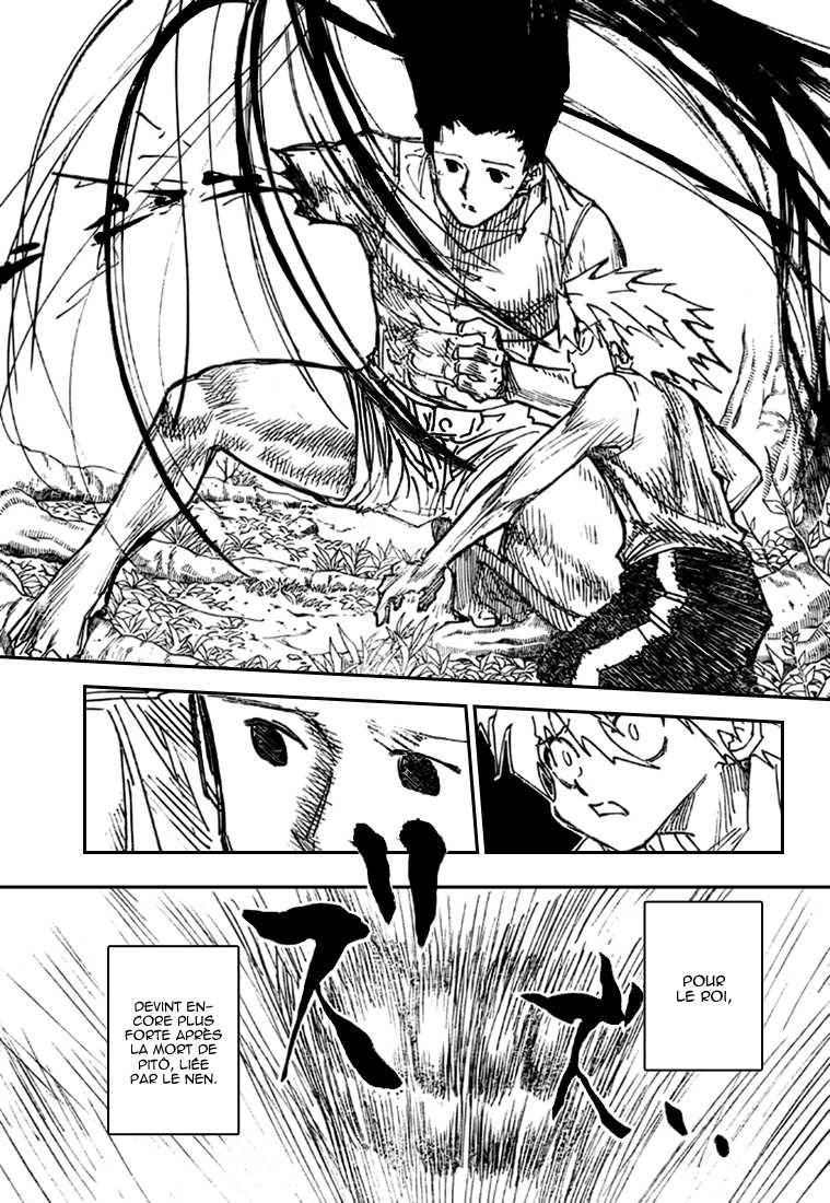 Hunter X Hunter: Chapter chapitre-307 - Page 10