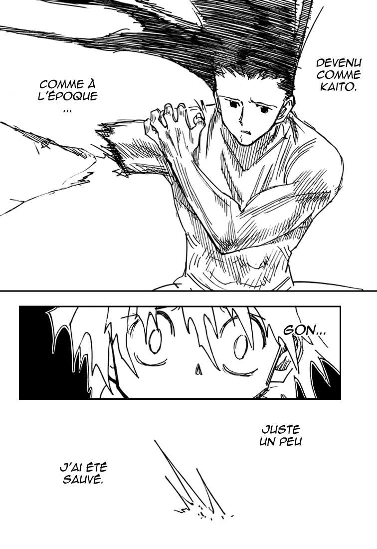 Hunter X Hunter: Chapter chapitre-307 - Page 13