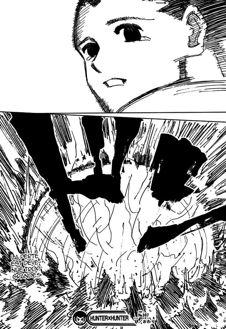 Hunter X Hunter: Chapter chapitre-307 - Page 18