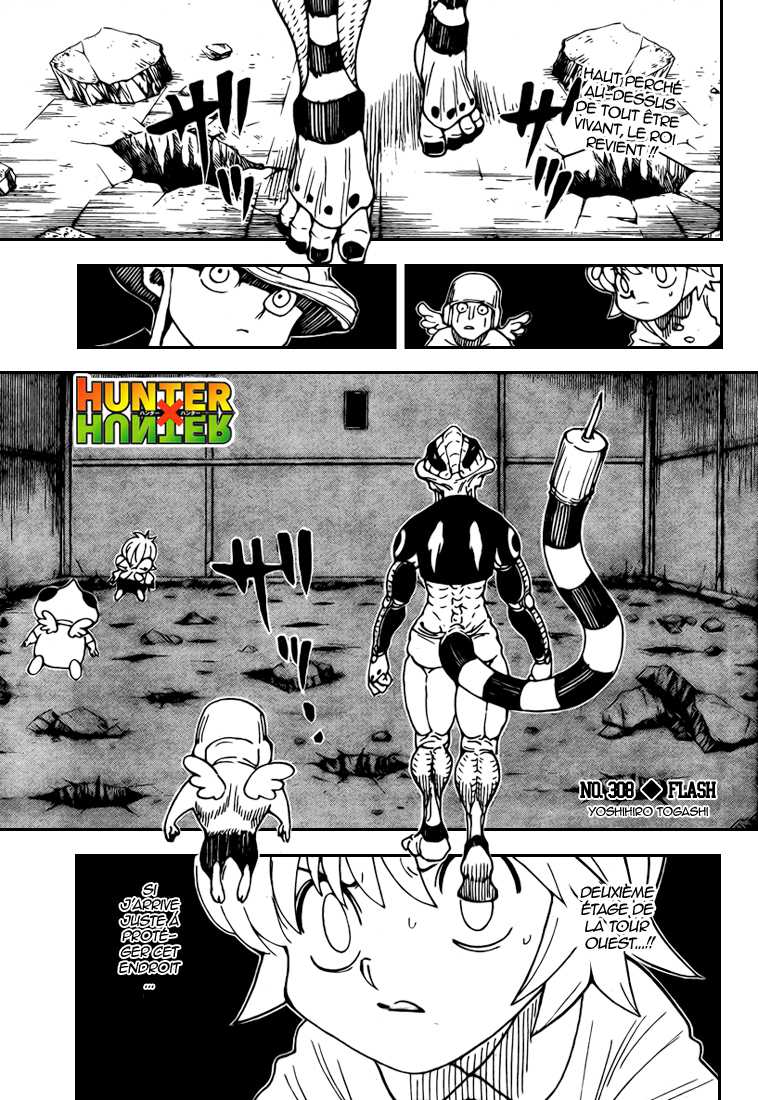 Hunter X Hunter: Chapter chapitre-308 - Page 1
