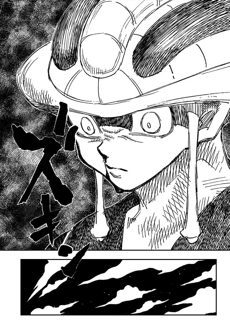 Hunter X Hunter: Chapter chapitre-310 - Page 14