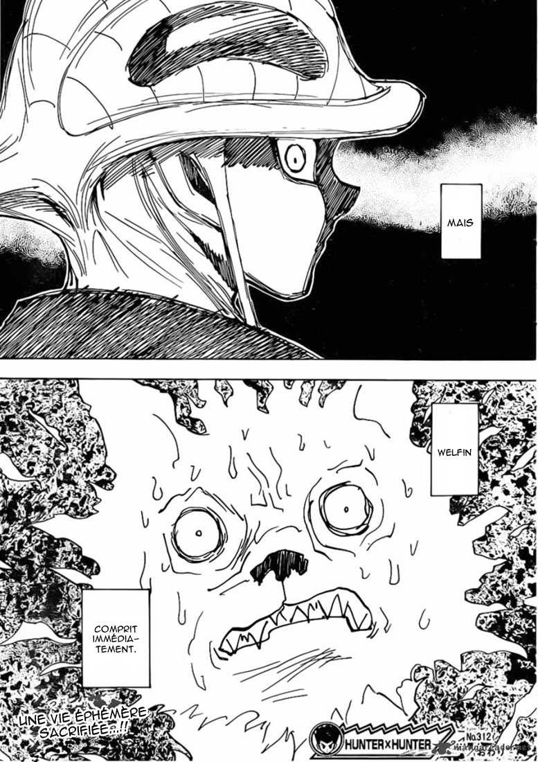 Hunter X Hunter: Chapter chapitre-312 - Page 19