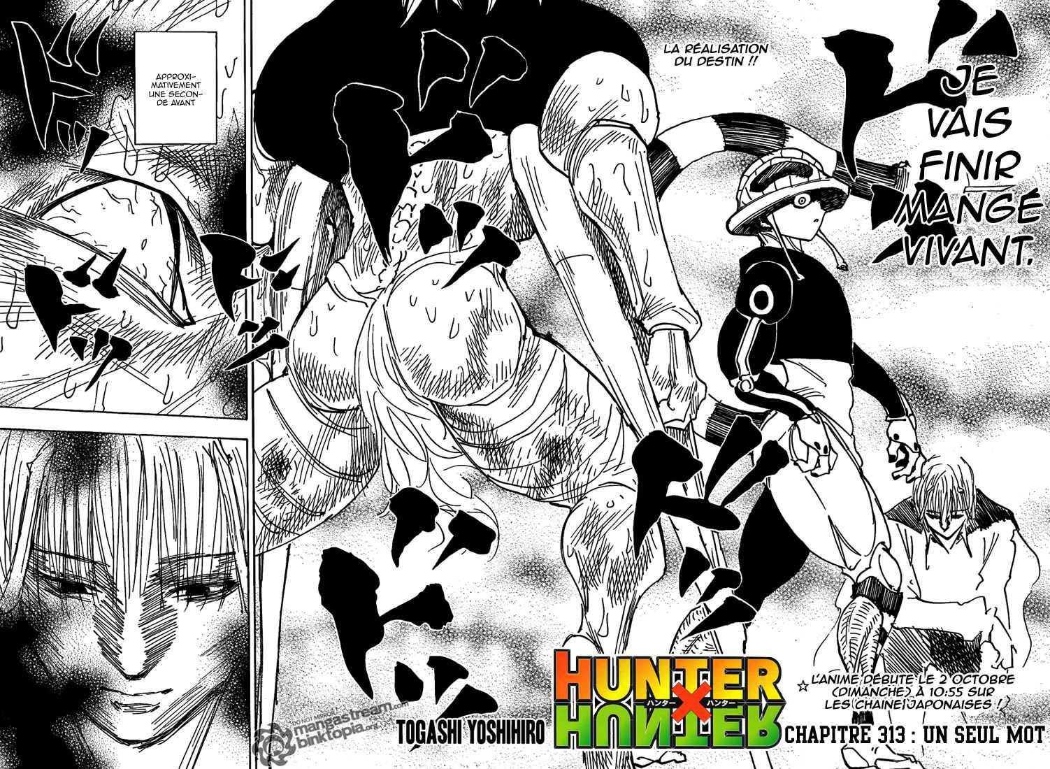 Hunter X Hunter: Chapter chapitre-313 - Page 2