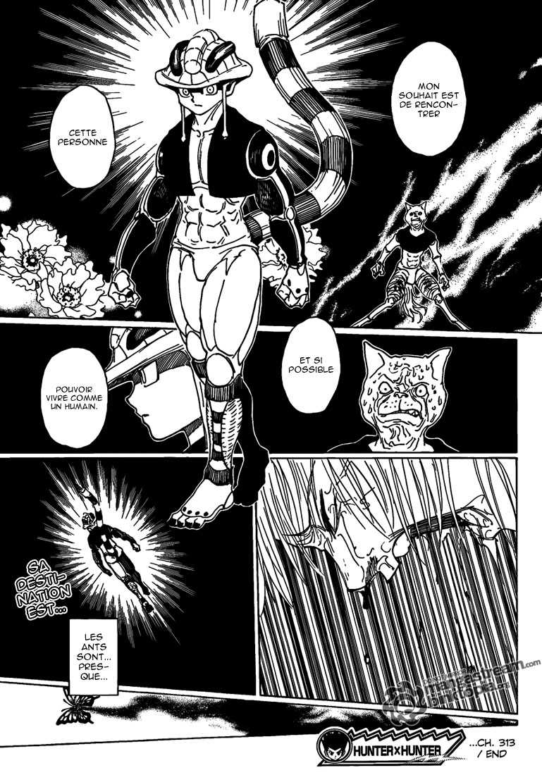 Hunter X Hunter: Chapter chapitre-313 - Page 15