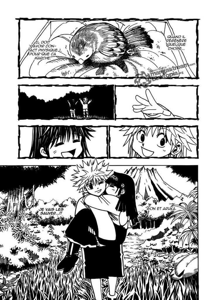 Hunter X Hunter: Chapter chapitre-324 - Page 10