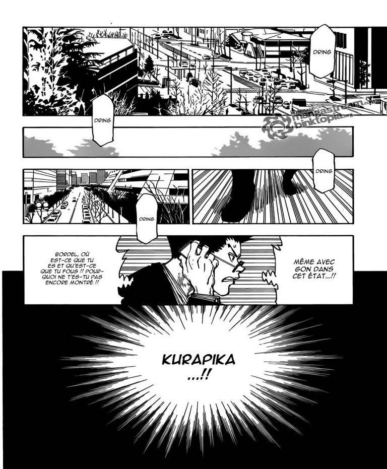 Hunter X Hunter: Chapter chapitre-325 - Page 11