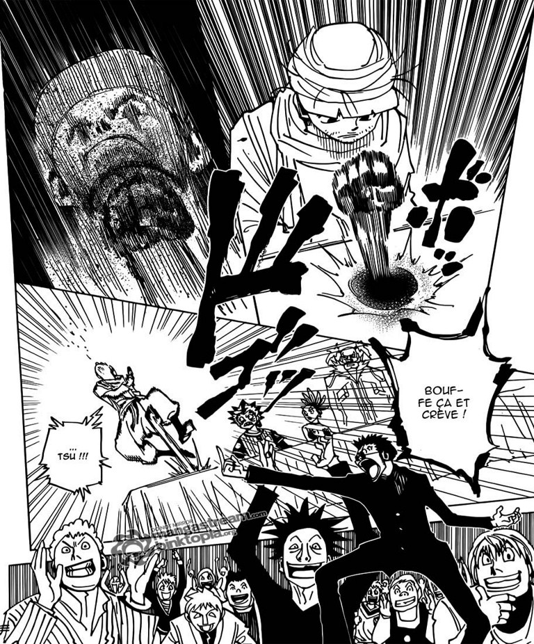 Hunter X Hunter: Chapter chapitre-325 - Page 17