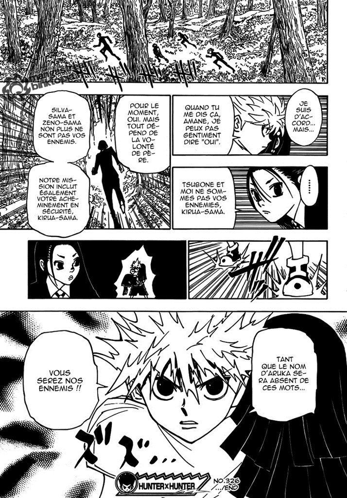 Hunter X Hunter: Chapter chapitre-326 - Page 20