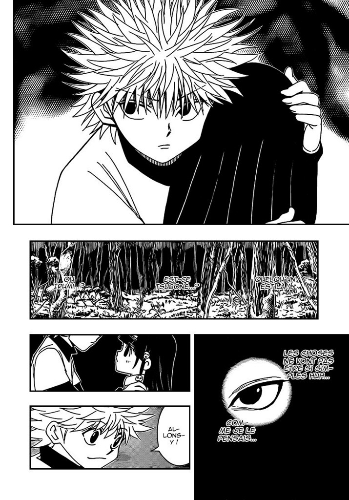 Hunter X Hunter: Chapter chapitre-327 - Page 7