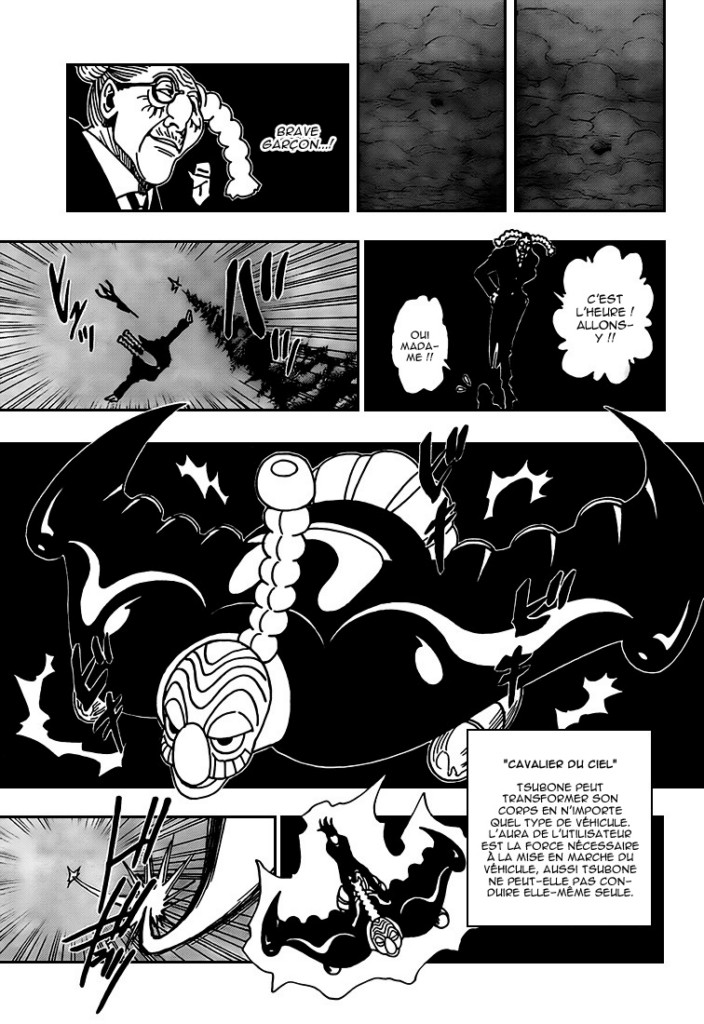 Hunter X Hunter: Chapter chapitre-329 - Page 9