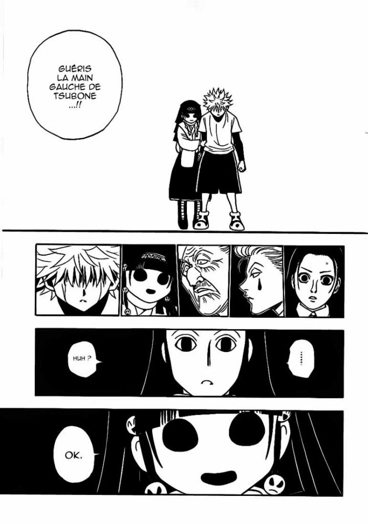 Hunter X Hunter: Chapter chapitre-330 - Page 11