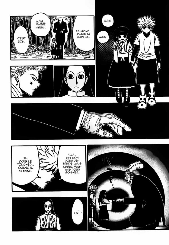 Hunter X Hunter: Chapter chapitre-330 - Page 12