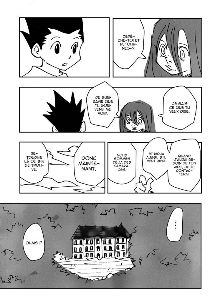 Hunter X Hunter: Chapter chapitre-337 - Page 17