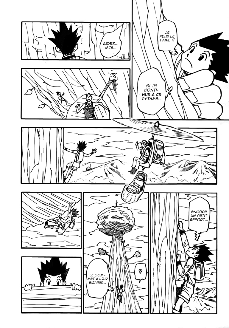 Hunter X Hunter: Chapter chapitre-338 - Page 9
