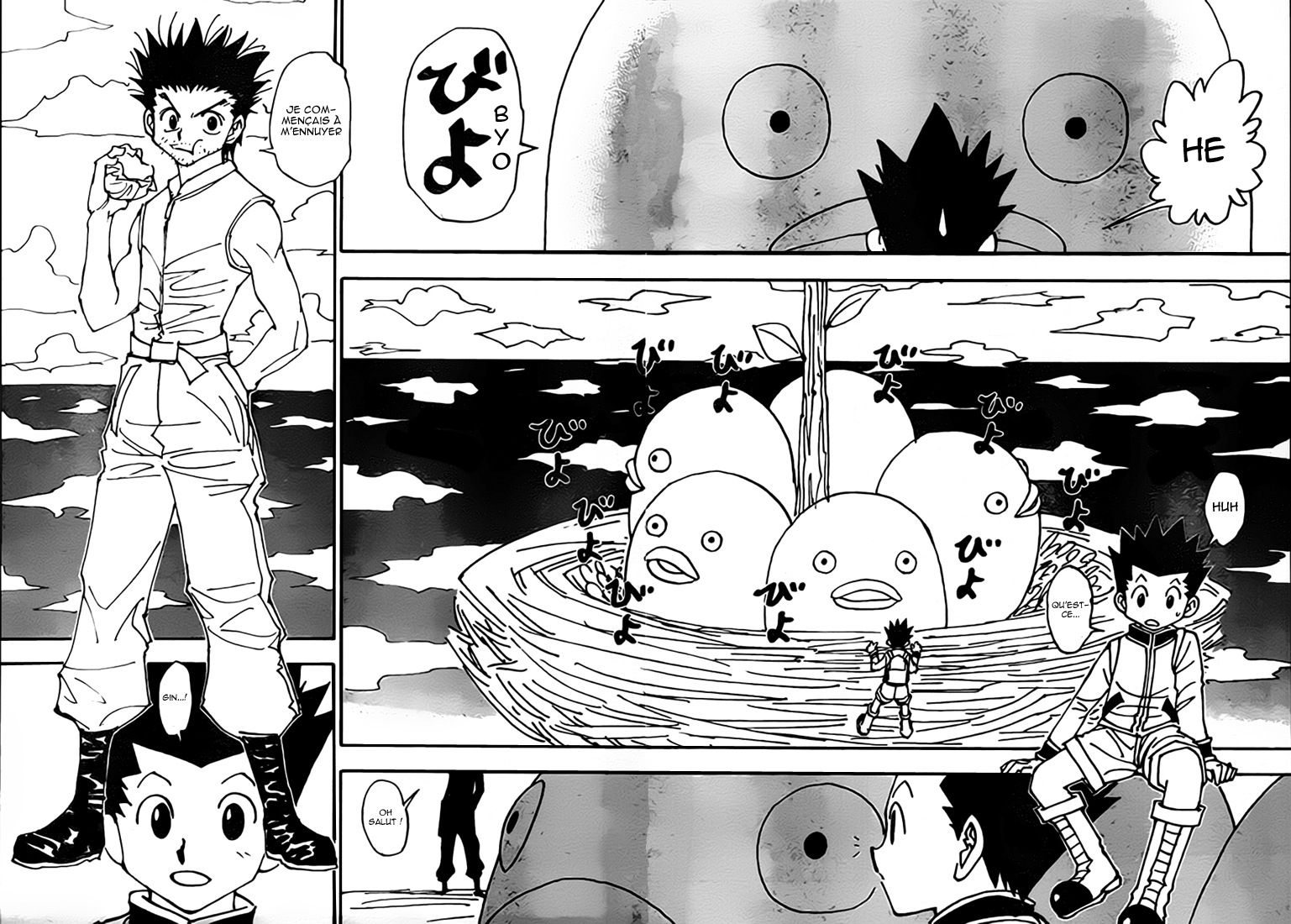 Hunter X Hunter: Chapter chapitre-338 - Page 10