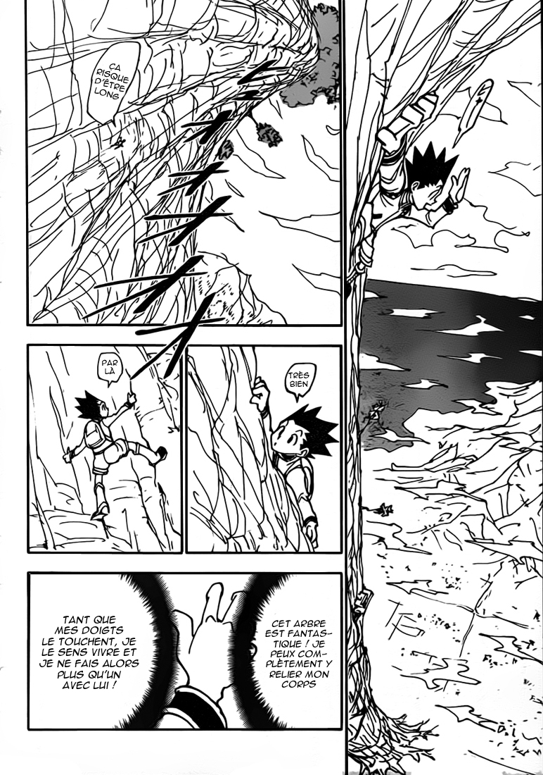 Hunter X Hunter: Chapter chapitre-339 - Page 9
