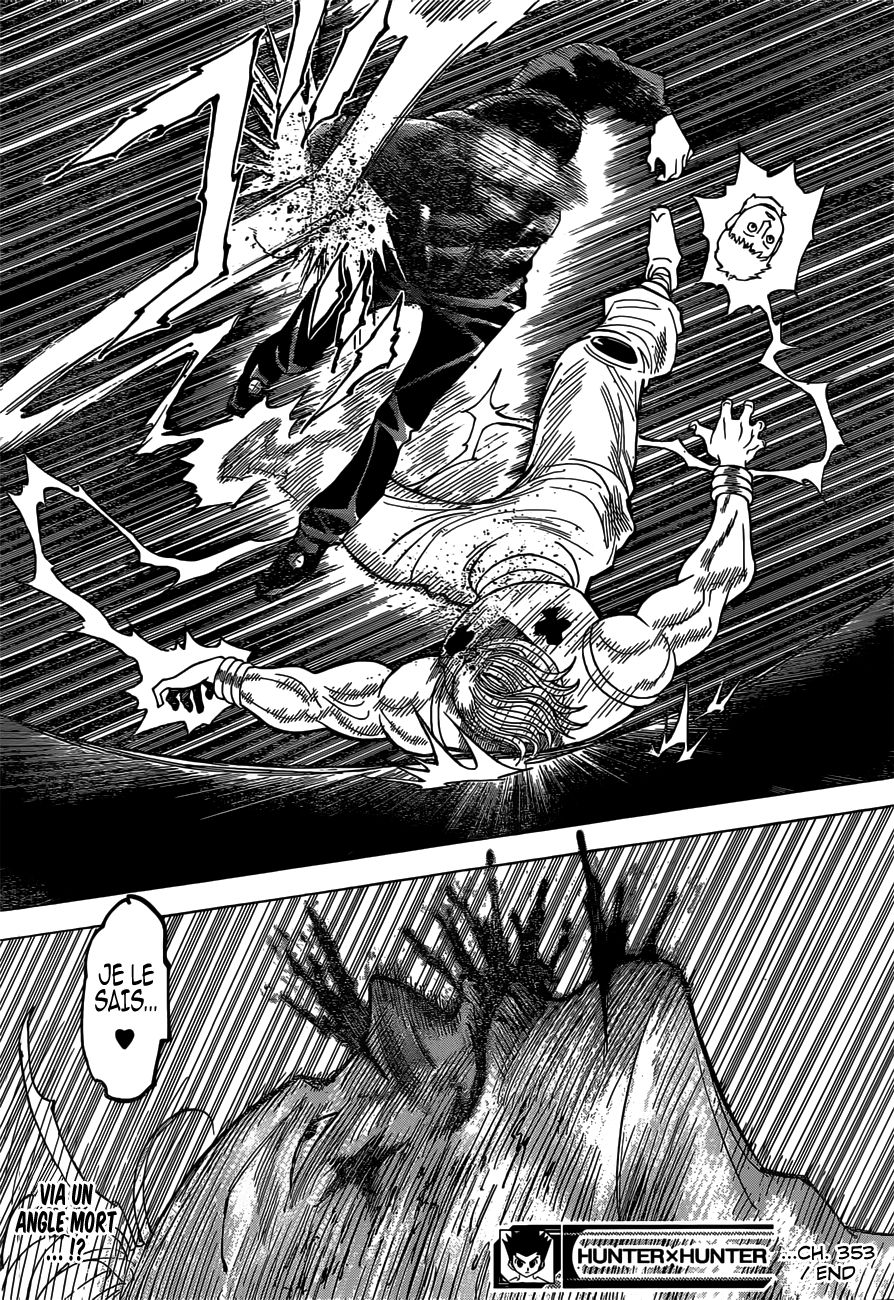 Hunter X Hunter: Chapter chapitre-353 - Page 19