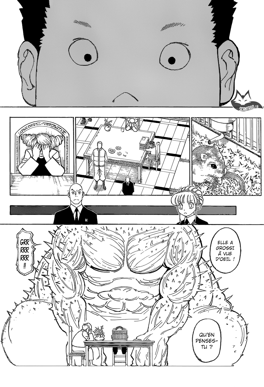 Hunter X Hunter: Chapter chapitre-372 - Page 4
