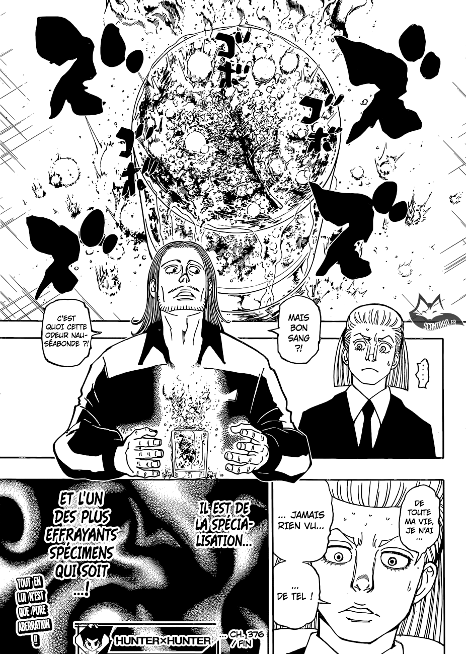 Hunter X Hunter: Chapter chapitre-376 - Page 19