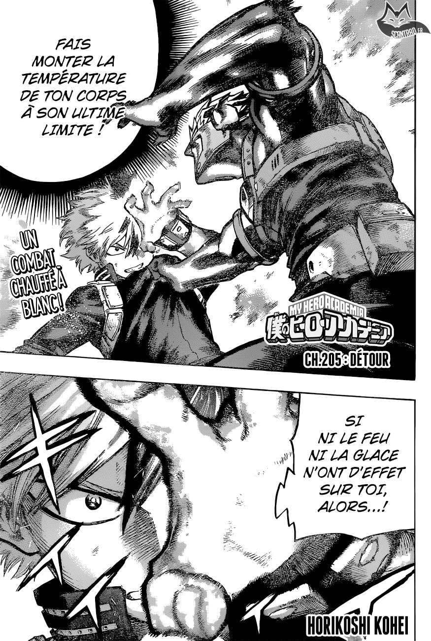My Hero Academia: Chapter chapitre-205 - Page 1