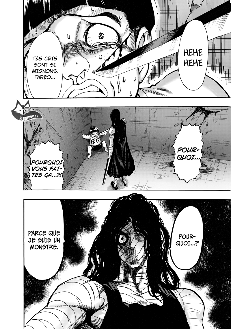 One Punch Man: Chapter chapitre-113 - Page 29