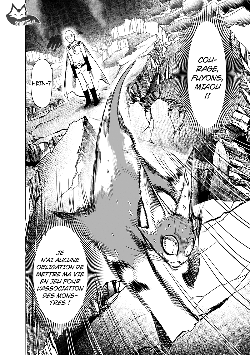 One Punch Man: Chapter chapitre-131 - Page 29