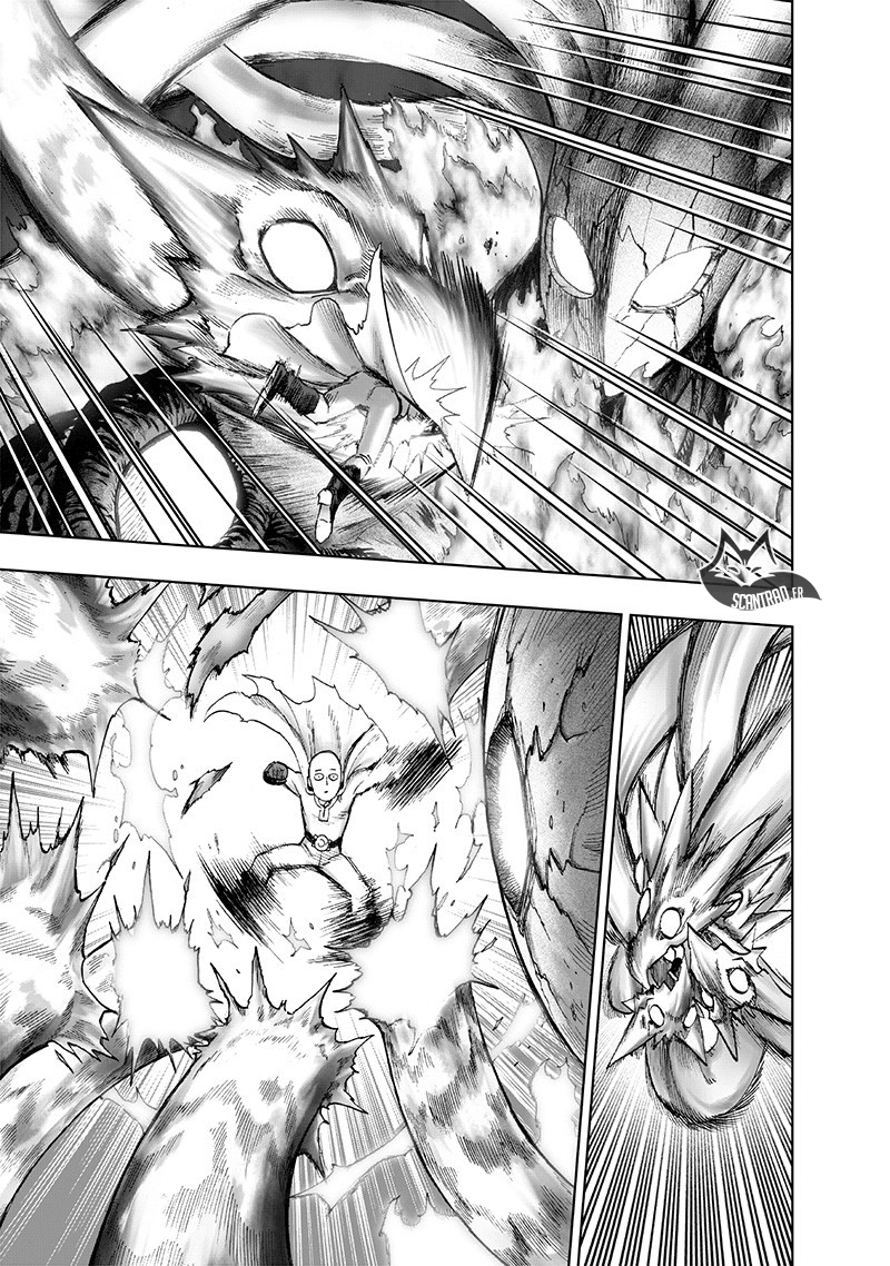 One Punch Man: Chapter chapitre-133 - Page 29
