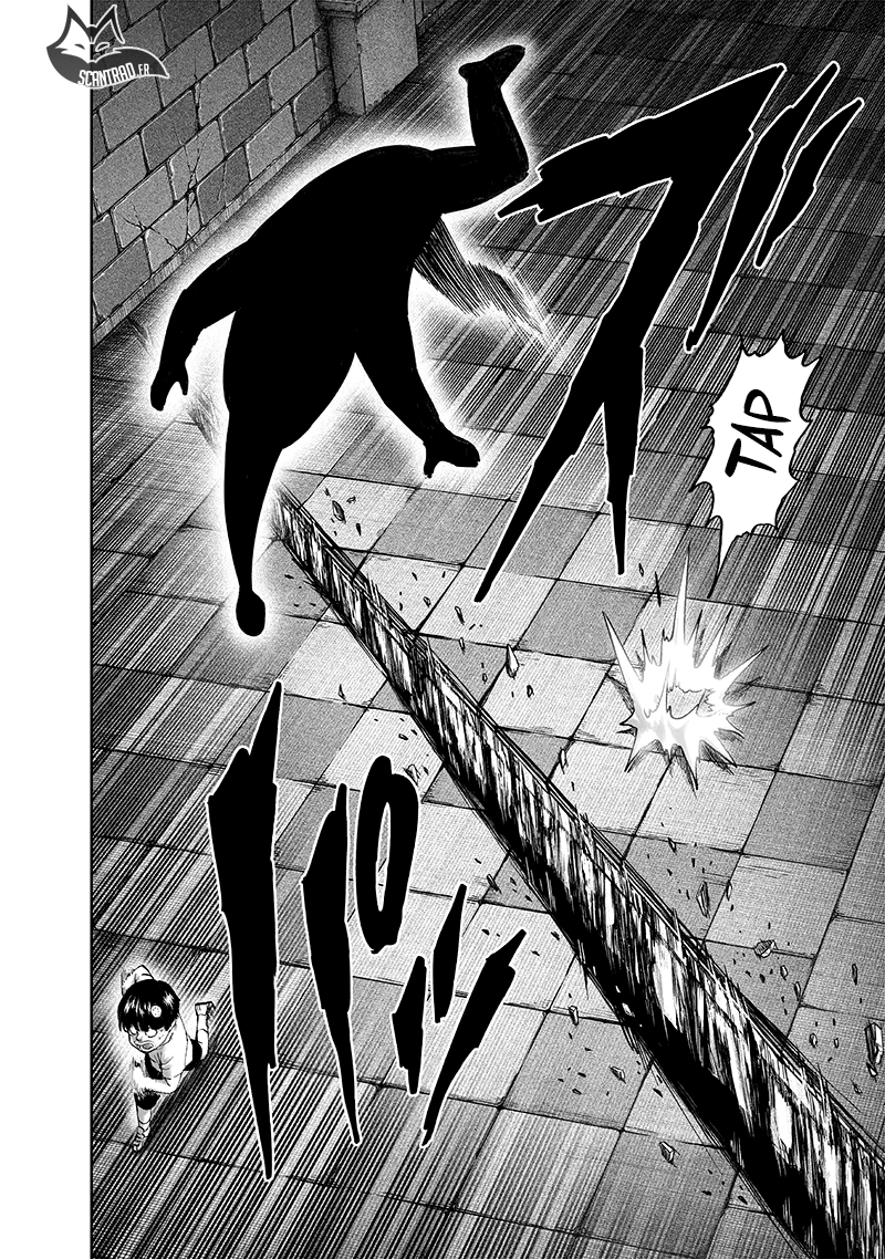 One Punch Man: Chapter chapitre-135 - Page 25